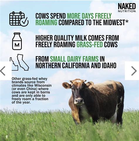 Naked Nutrition VANILLA WEIGHT GAINER Mass Lb Bulk Non GMO And Gluten Free EBay