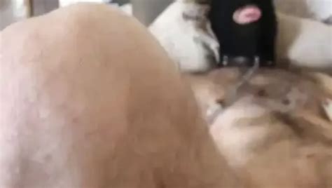 Vídeos gay de Fisting griego gratis xHamster