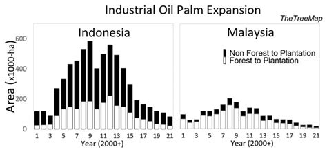 Palm Oil Deforestation Map