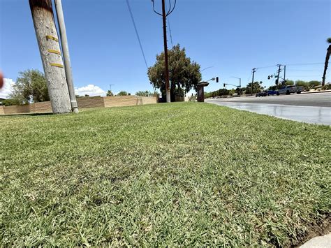 Critics voice concerns over high desert springs prison staff levels 11