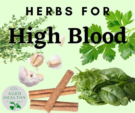 Herbs For High Blood Herbal Medicines