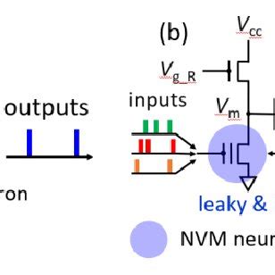 A Spiking Neural Network Snn B Leaky Integrate And Fire Lif