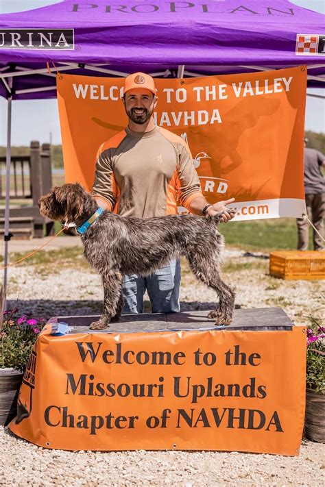 Bentonville AR 702: A Deep Dive - Truth or Fiction