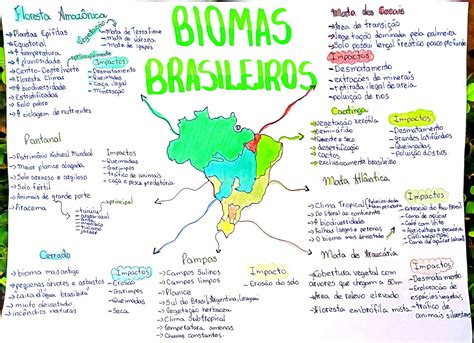 Mapa Mental Sobre Biomas Brasileiros Maps Study