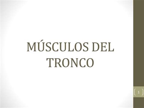 M Sculos Del Tronco Silver Black Udocz