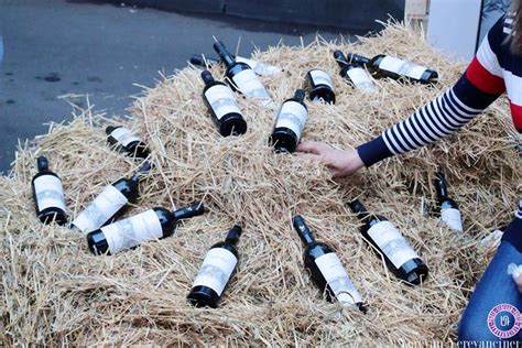 Yerevan wine days | Yerevan, Wine, Armenia
