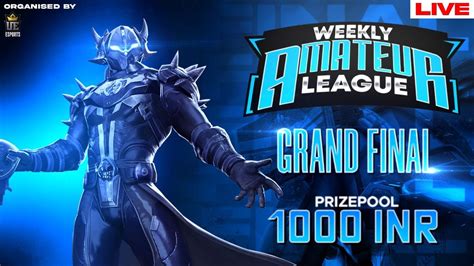 AMATEUR LEAGUE FINALS PRIZEPOOL 1000 INR ORGANIZED BY UE