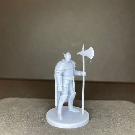 Paladin Paladin / 3D Printed Fantasy Tabletop Miniatures - Etsy