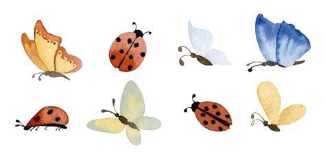 mariquitas acuarelas y mariposas. ilustración dibujada a mano de ...