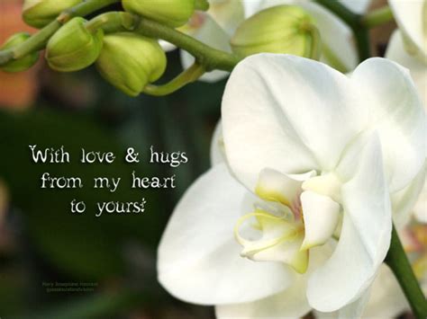 With Love And Hugs Free For Someone You Care Ecards Greeting Cards