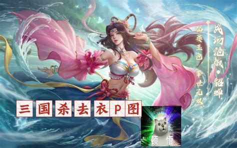 三国杀去衣p图 张宁好爱⑉°з° ♡ 大麦得斯 大麦得斯 哔哩哔哩视频