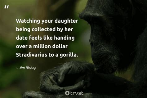 24 Gorilla Quotes To Recognize The Mountain's Gentle Giants