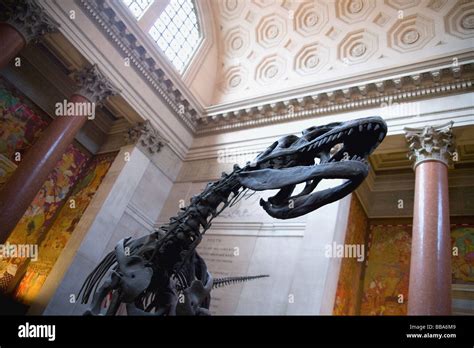 Tyrannosaurus Rex Dinosaurio En El Vestíbulo Del Museo Americano De Historia Natural En La