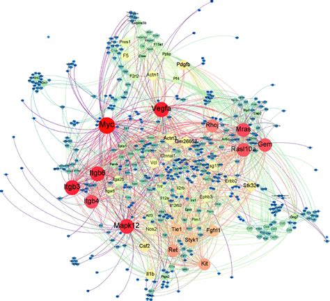 Protein Interaction Networks Of The Degs The Nodes In The Figure Are