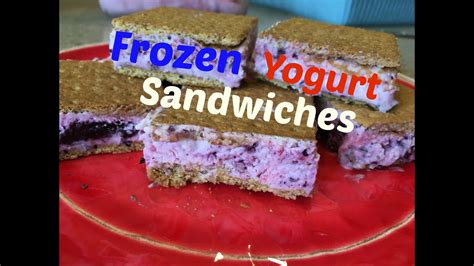 Frozen Yogurt Sandwiches Youtube