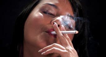 Wanking Favourites Sasha Cane Smoking Porn Pictures XXX Photos Sex Images 1798298 PICTOA