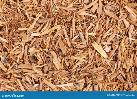 Catuaba Bark Herbal Tea Royalty Free Stock Photo CartoonDealer