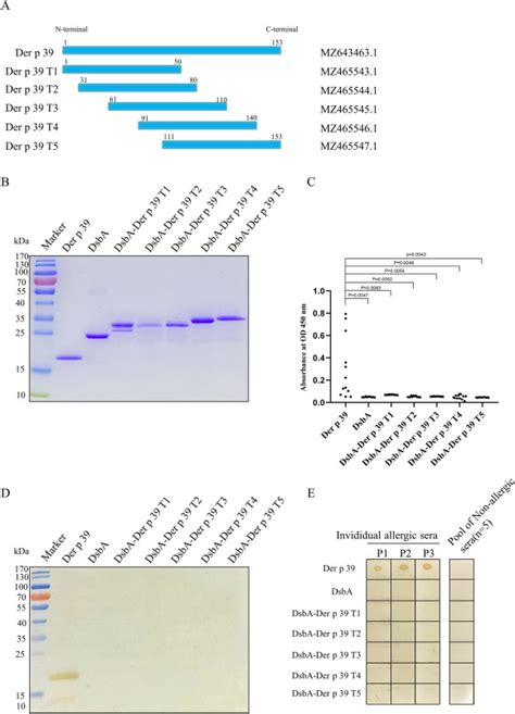 Identification Of An Immunodominant Ige Epitope Of Der P 39 A Novel