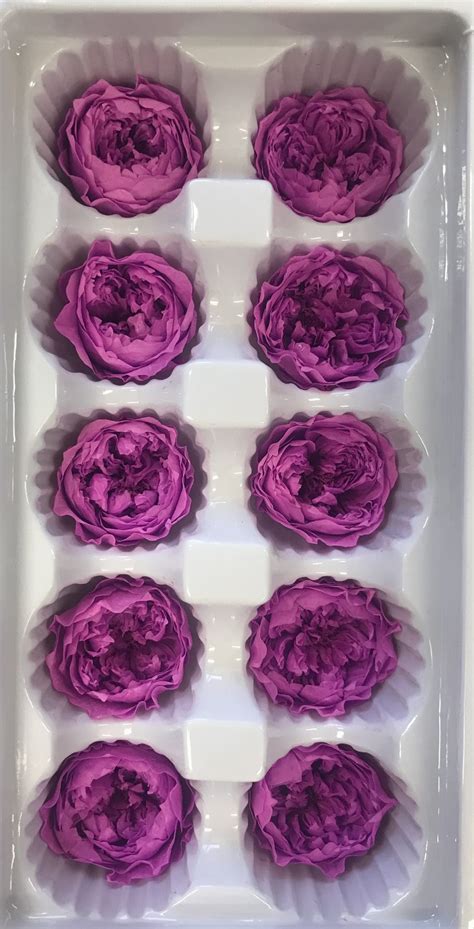 violet small david austin box - A Floral Affair