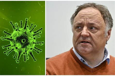 Apr S Le Covid Le Langya Un Nouveau Virus D Couvert En Chine