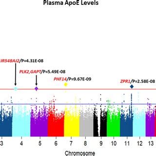 Manhattan Plot Of Genome Wide Association With Plasma ApoE Levels The