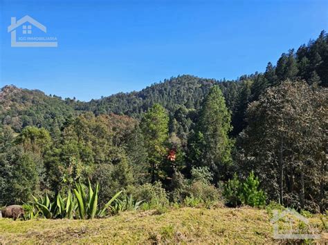 Venta Casa En Mineral Del Chico Hidalgo Icasas Mx