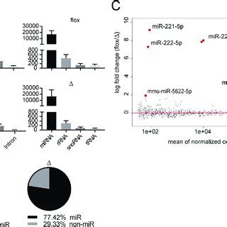 Loss Of MiR 221 222 Decreases The Number Of Plasma Cells PCs And IgE