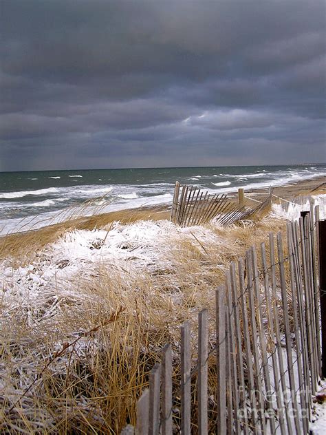 Winter On Cape Cod By Charles Harden Winter On Cape Cod Photograph