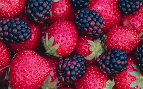 Berry Full HD Wallpaper and Background Image | 1920x1200 | ID:367378