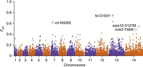 Genome Wide Analysis Of Snp Differentiation Between Resistant And