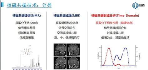 三分钟了解低场核磁共振技术 测试狗·科研服务