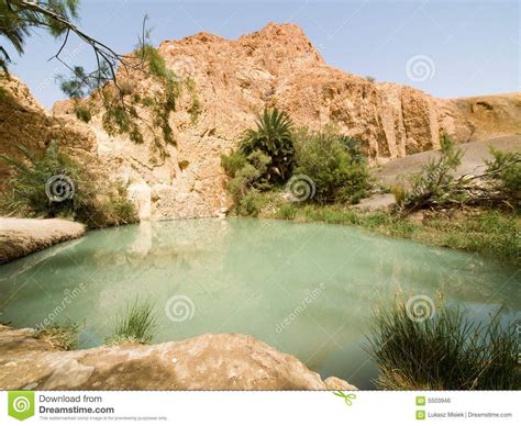 Oasis on the Desert: A Serene Escape