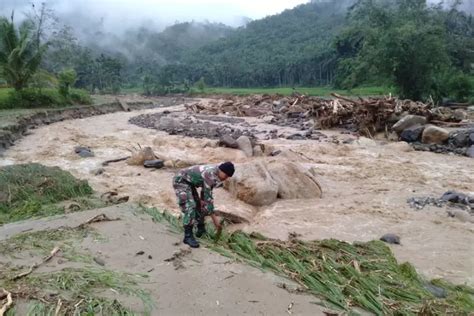 Cegah Tanah Longsor Dan Erosi Dengan Tanam Rumput Ajaib Vetiver Akurat