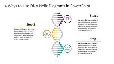 4 Ways To Use Dna Helix Diagram In Powerpoint