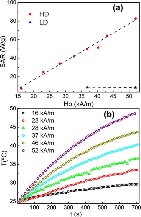 A Specific Absorption Rate SAR Derived From Calorimetric