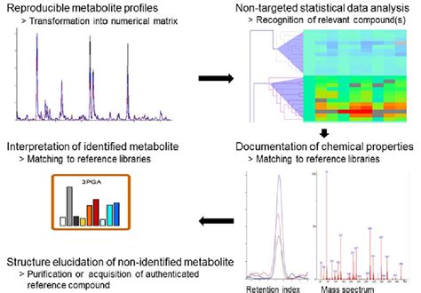 The Essential Workflow Of Non Targeted Metabolite Profiling