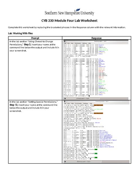 Cyb Module Four Lab Worksheet Cyb Module Four Lab Worksheet