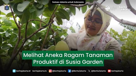 Melihat Aneka Ragam Tanaman Produktif Di Susia Garden Youtube