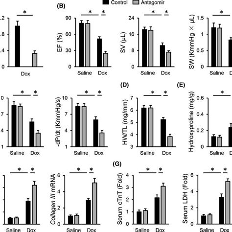 MiR4953p Antagomir Aggravates Doxinduced Cardiotoxicity In Mice A