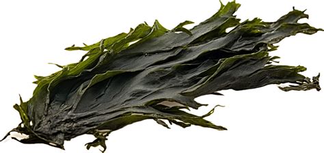 Ai Generated Sheet Of Dried Seaweed Png Png