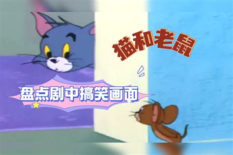 猫和老鼠：盘点剧中搞笑画面，汤姆跟表哥长得一样，杰瑞却傻眼了 汤姆 杰瑞 表哥