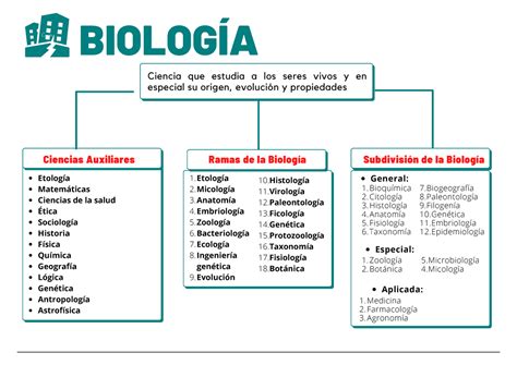 Arriba 93 Imagen Mapa Mental Ciencias Auxiliares Abzlocal Mx