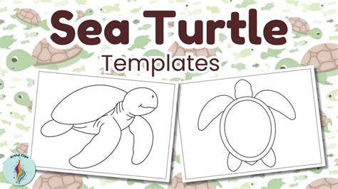 Sea Turtle Template Set Simple Black And White Outlines