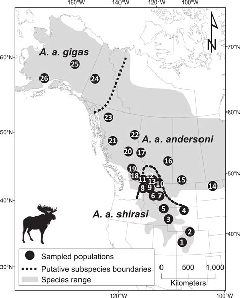 Phylogeography Of Moose In Western North America