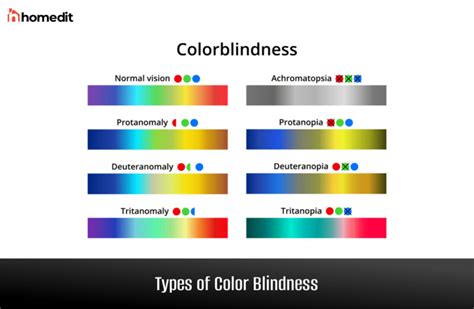 Color Blindness How The Eye Perceives Color