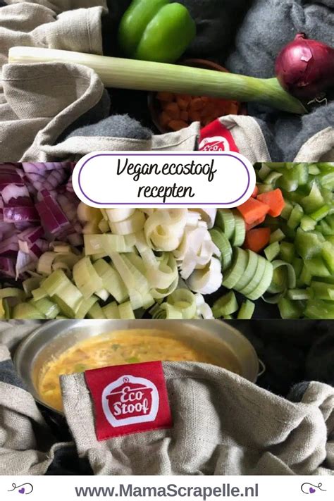 Vegan Ecostoof Gerechten Simpel En Snel En Duurzaam Koken