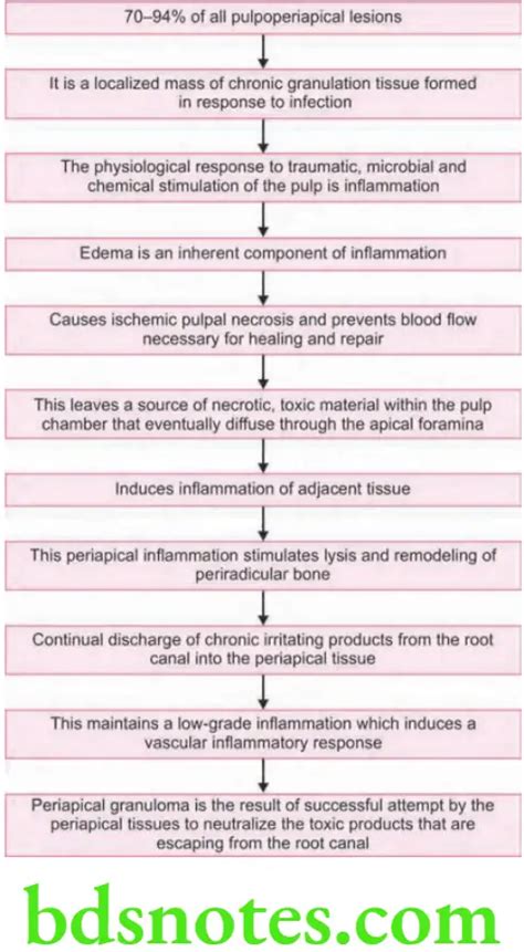 Differential Diagnosis Of Periapical Radiolucencies Question And ...