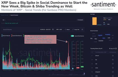 Xrp Network Dominance Explodes Analysts Predict Massive Rally In The