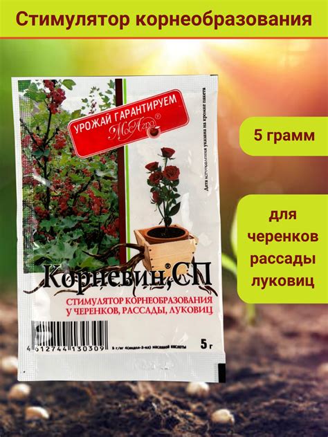 Корневин, стимулятор образования и роста корней, в комплекте упаковка 5 ...