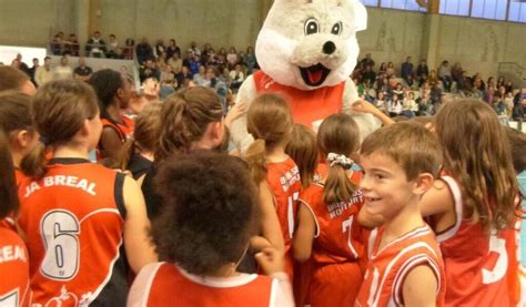 Bréal sous Montfort Bréal basket en Brocéliande fête ses 60 ans